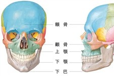 额头填充的方法有哪些？