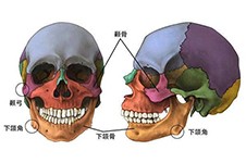 下頜角和顴骨一起整多少錢？下頜角和顴骨手術(shù)要8萬貴嗎？