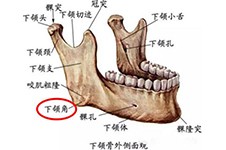 请问重庆下颌角手术哪里做得好？下颌角磨骨哪家医院好？