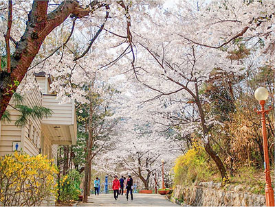 三清公園