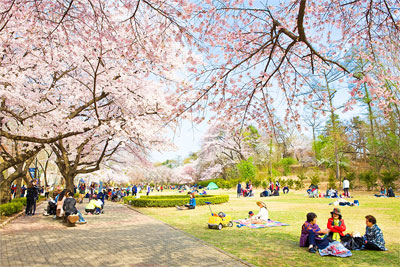 首爾兒童大公園