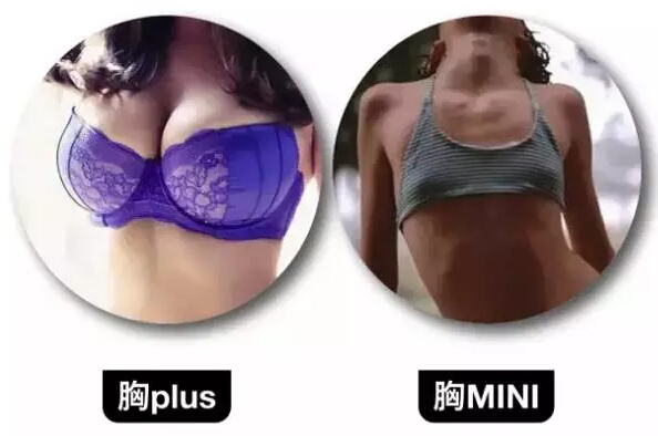 胸Plus与胸Mini对比照片