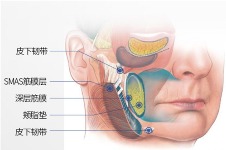 北京艺星整形2024年价格表收费标准:少女针/菲欧曼/塑妍真/眼睛/鼻子/去眼袋价目表分享!