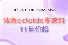 清潭eclatde皮肤科11月价格公开,皮肤提升/皮肤清洁/皮肤护理价格很惊喜!
