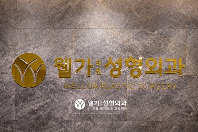 韩国Wellga整形外科logo