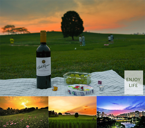 韩国奥林匹克公园草地、夜景、红酒葡萄芝士