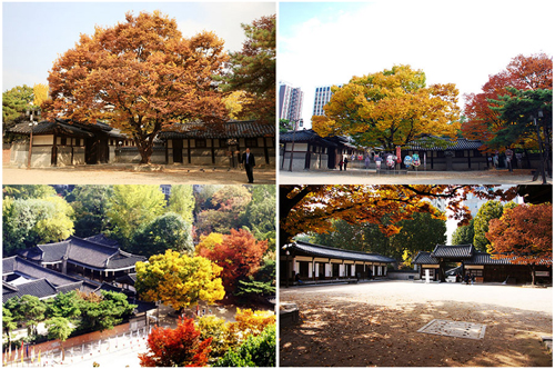 韩国云岘宫秋季风景