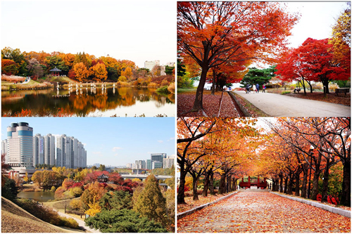韩国奥林匹克公园枫叶景色