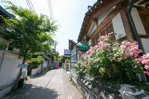 韩国廊下的天空韩定食店门口花