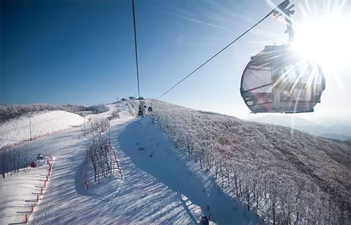 滑雪观光列车
