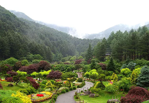 晨靜樹木園