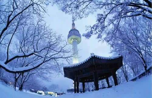 冬季赴韩旅游玩什么