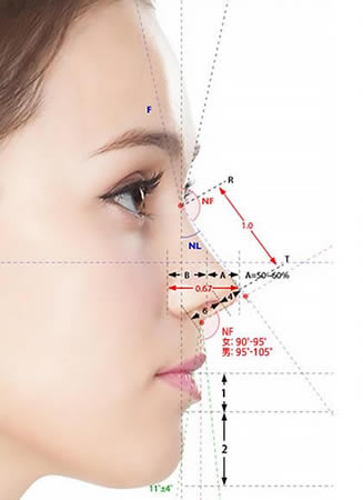韩国BIO整形外科鼻修复手术特点分析