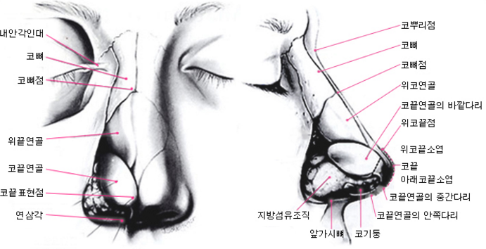 韩国COANMI(可安美)隆鼻整形