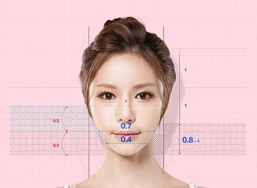 韩国id整形面部轮廓比例图