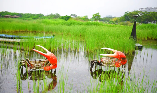 韩国顺天湾湿地公园