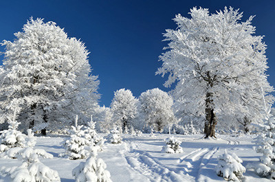 韩国冬季雪景