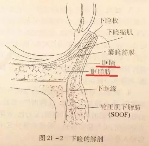 韩国无痕去眼袋哪里好纯真整形和清潭第一该选谁