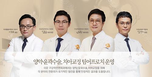 韩国EU颌面整形外科医生团队照片