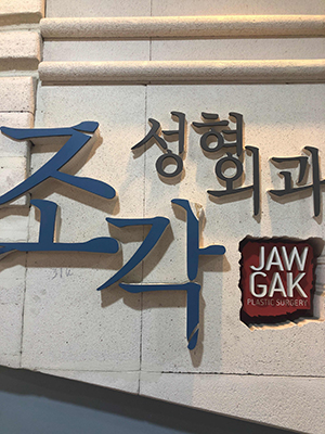 韩国雕刻医院logo
