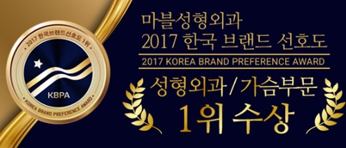 2017年韩国品牌喜爱度胸部奖项