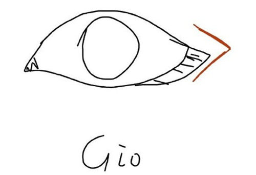 怎样防止外眼角回缩？GIO、绮林、伊美芝方法效果各不同！