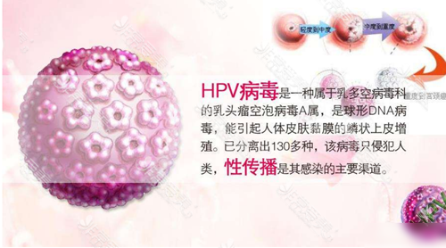 HPV病毒概念