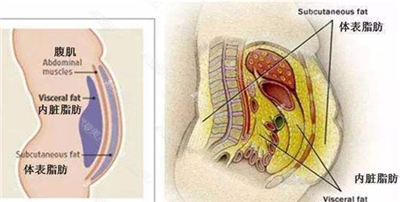 为什么说脂肪不是抽的越多越好？韩国365mc医院曾道出真相！