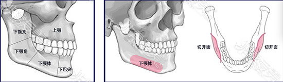 下颌角术后咀嚼硬物对骨头有什么影响？