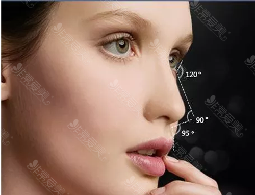 鼻部美学标准参考