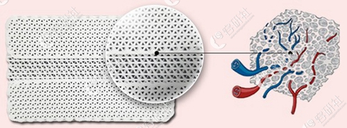 mesh材料微孔状的结构