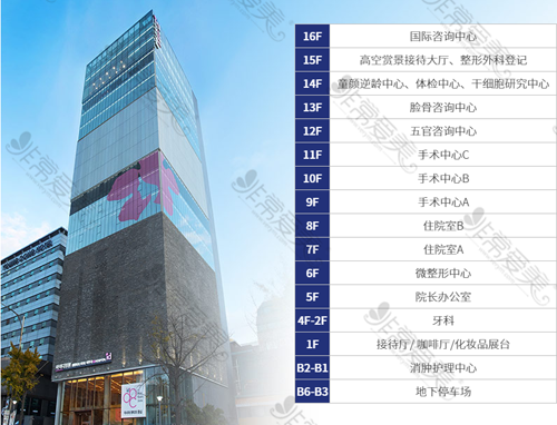韩国ID整形医院规模结构图