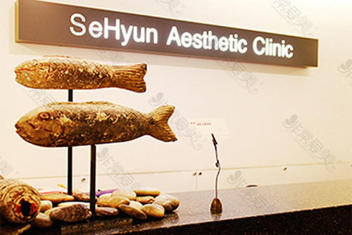 韩国世现sehyun整形在韩国名声好吗？医院手术风格什么样？