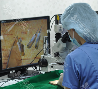 韩国毛杰琳整形医院毛囊分离人员分离毛囊