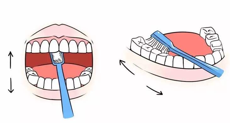 刷牙正确方法