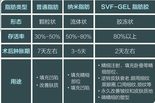 脂肪胶是什么?和自体脂肪相比有什么优势呢?成活率高吗?