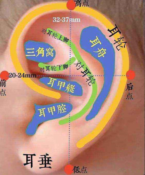 招风耳矫正原理是什么