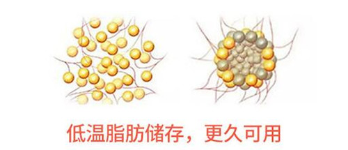 呼和浩特华医2021年脂肪填充价目表曝光,分院长和部位收费!