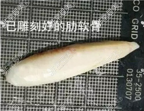 已經(jīng)雕刻好的肋軟骨