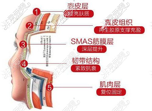 做小拉皮手术需要多少钱，公布2021拉皮手术价格一览表！