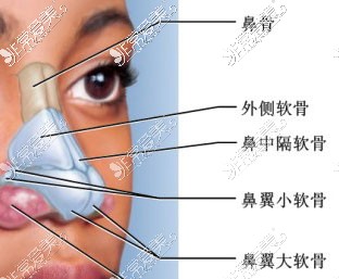 肋骨鼻综合10问10答:一般多少钱?能维持几年呢?答案全在这!