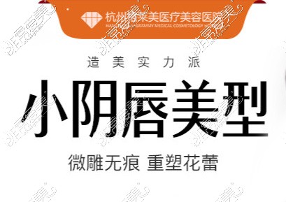 杭州私密整形哪家好?带你了解各家私密整形项目!