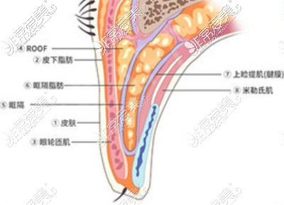 重庆联合丽格美容医院双眼皮技术