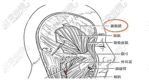 宁波硅胶隆鼻多少钱？宁波哪家医院做假体隆鼻效果好