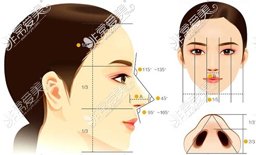 听说整了鼻子后要不断修复是真的吗?隆鼻可以维持一辈子吗?