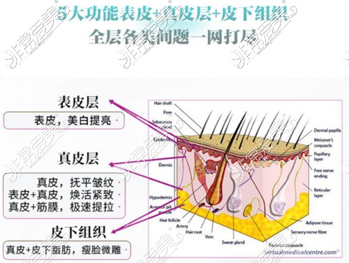 5gmax极速提拉对标5代热玛吉和Fotona4D,谁是维持抗衰效果之王