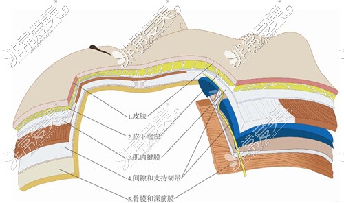 9d面部提升术原理图