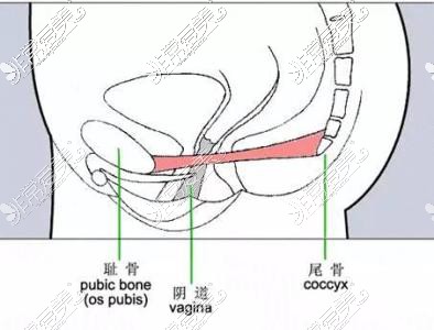 缩阴手术怎么样？做完缩阴手术有哪些后遗症？