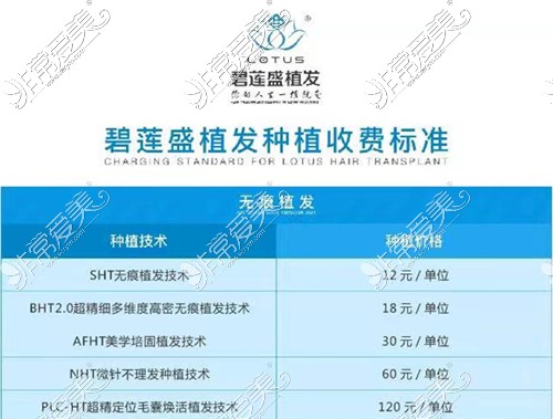 深圳碧莲盛无痕植发收费价目表