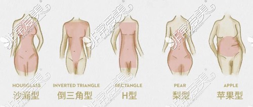 女性不同種類身材